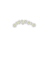 Tiara Hair Accessories8